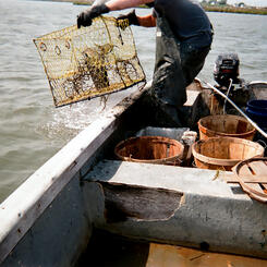 Time Enough To Go #25