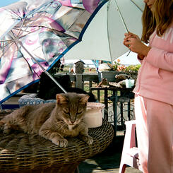 Time Enough To Go #3