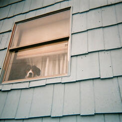 Time Enough To Go #9