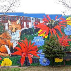 Fox Mural, 2015, 25x50 ft