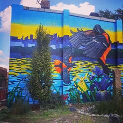 North East Market Orioles Mural 2014, 25x25 ft