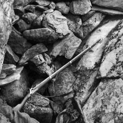 from Landscape After Battle (detail from the Civil War by Alexander Gardner)