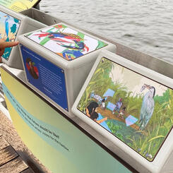 Future Harbor at the Harbor Wetlands