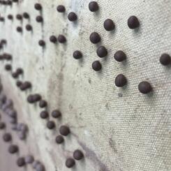 Sweet Gum Rattles - process