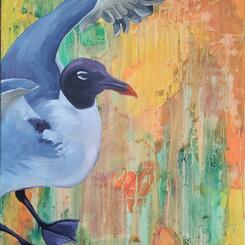 Seagull with Orange Background