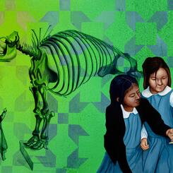 Discovery in Maryland, 6x15 ft