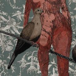 Detail of  Mourning Dove 