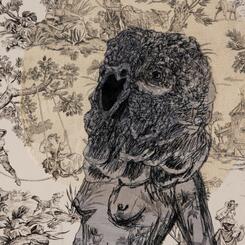 Detail of Gray African Parrot Woman head. 