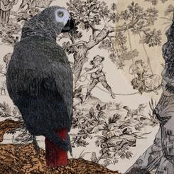 Detail of stiched  Gray African Parrot 