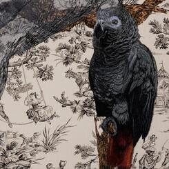 Detail of stiched  Gray African Parrot 