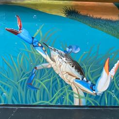 Maryland Landscape Detail