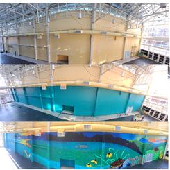 Mural before, during, and after