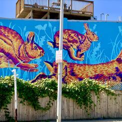 Rabbit Rabbit Rabbit, 2024, 25x50, Baltimore 