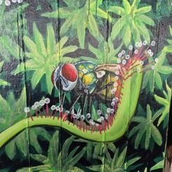 Mural for 2025 Artscape Urban Jungle Project 