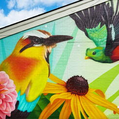 Glenmont Park Activity Building, Left Side 