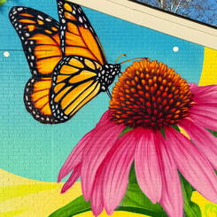 Glenmont Park Activity Building, Ride Side