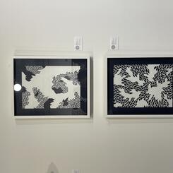 Collectors Night, Washington Project for the Arts, 2024