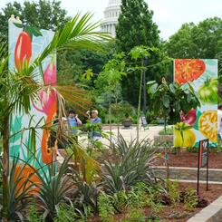US Botanic Gardens, Mural Panels in Situ