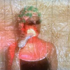 Can I Ever Be Impenetrable (detail)