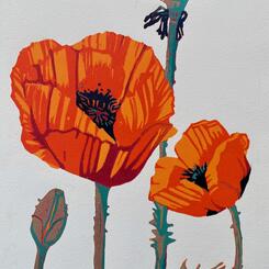 Poppies