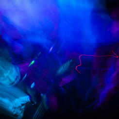 Bassist for Not Milk, Tallahassee, FL (2022)