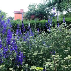 The Brick Hill Plant Lab