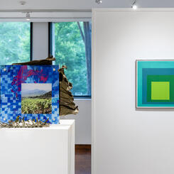 La Tierra Nunca Olvida (The Land Never Forgets)