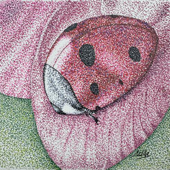 Ladybug