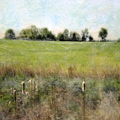 Layers-Maryland Farm Land-#1.jpg