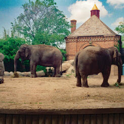 Lincoln Park Zoo, Chicago, IL