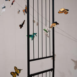 Pollinator Portal at the Peale