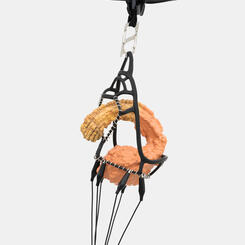 Low Hanging Fruit II (detail)