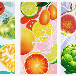 US Botanic Gardens, Close up of Three Panels