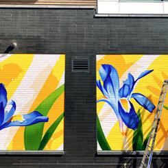 Makers Rise, In Progress 