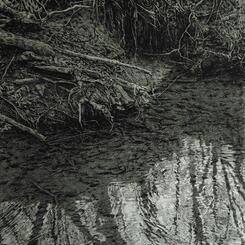 Manor View Beach, 2025