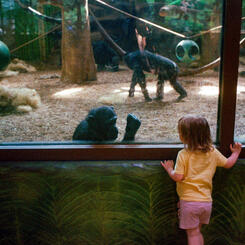 Maryland Zoo, Baltimore, MD