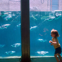 Maryland Zoo, Baltimore, MD