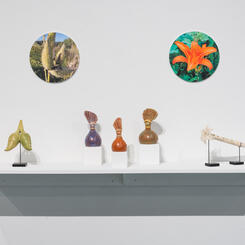 Kith & Kin Exhibition