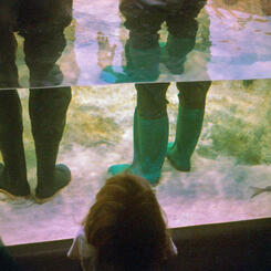 National Aquarium, Baltimore, MD