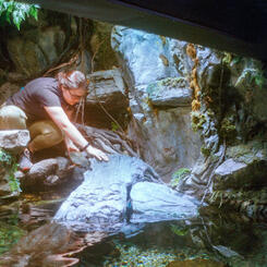 National Aquarium, Baltimore, MD