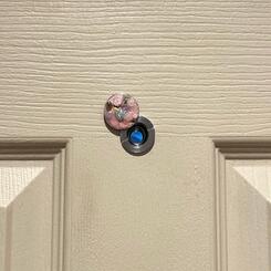 Girls Who Lock Their Doors at Night (detail)