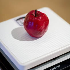 Mother's Mother's Mother