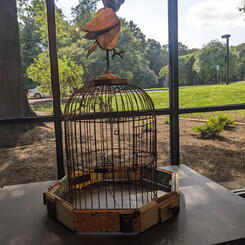 Octogenarian assemblage by Mary Opasik at the entrance/exit