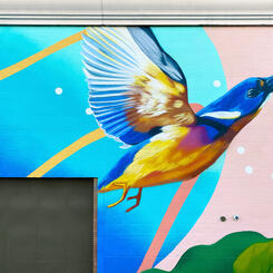 DC Walls 2020, Right Kingfisher