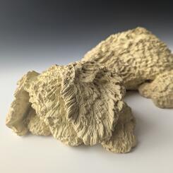 Kelsey's Puppy (Detail View)