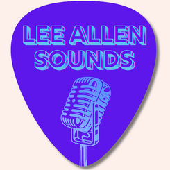 Pink Soul Sound Minimalist Simple Logo (1)_0.png