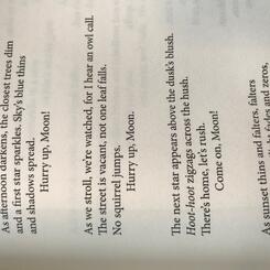 Prayer for the Moon (poem)