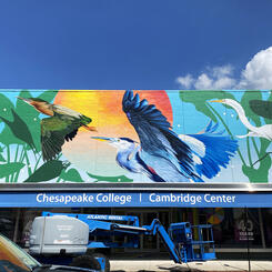 Chesapeake College Cambridge Center, Full Mural 