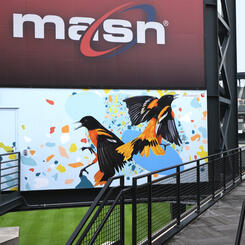 Camden Yards, Wide View