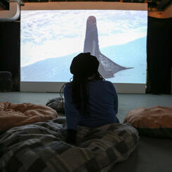 Install shot (Re)mnants